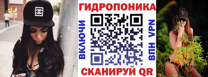 как найти Фрязино МАРИХУАНА конопля